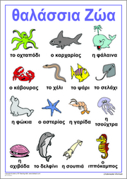Underwater Animals
