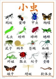 Bugs