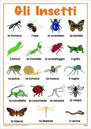 Bugs