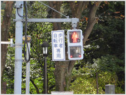 Street crossing outside Rikugien Gardens, Tokyo