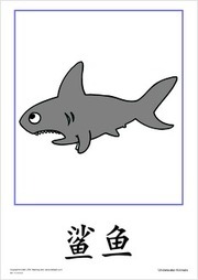 Underwater Animals