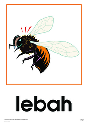 Bugs